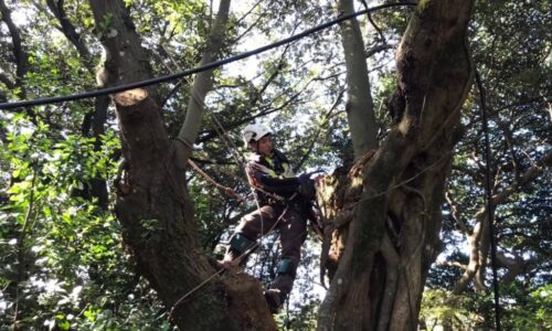 LINE_ALBUM_住吉神社　宇土市_211014_3